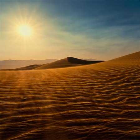Desert Sunset tour
